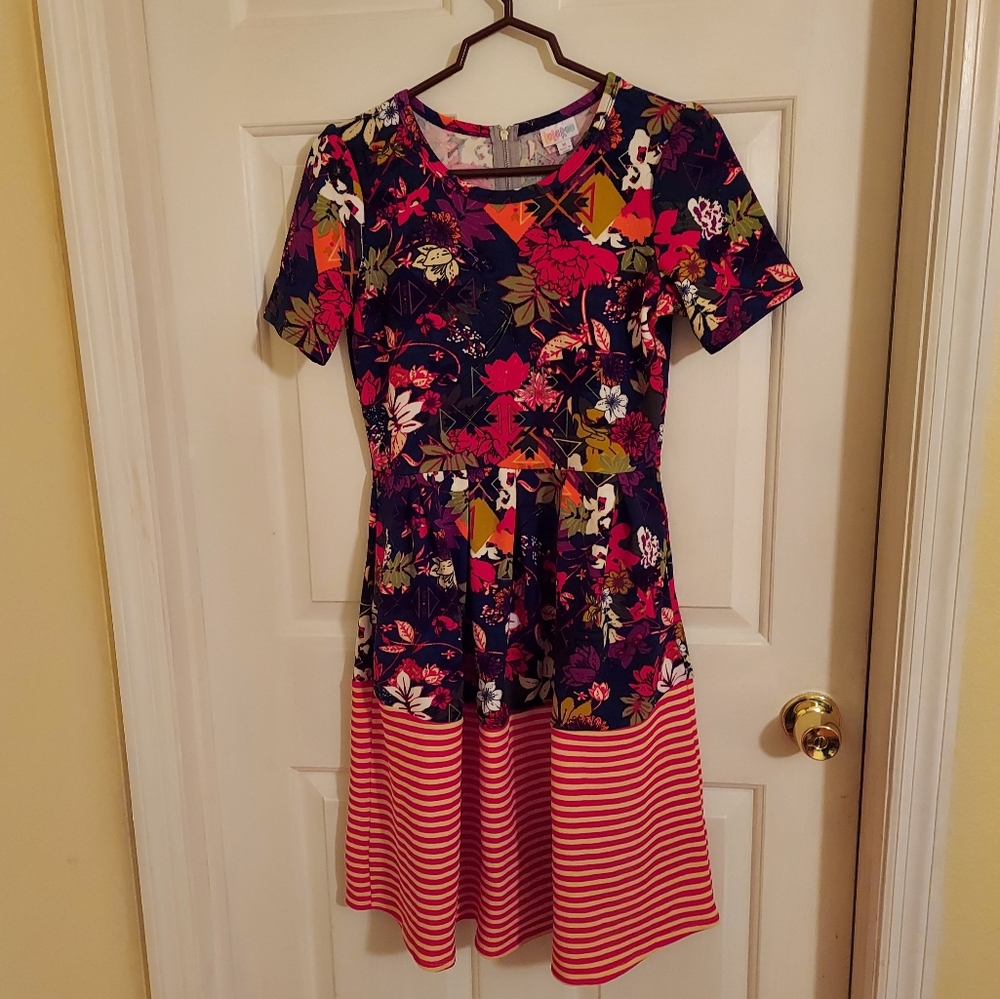 Nwot's Lularoe, Floral-Striped Amelia Dress Medium